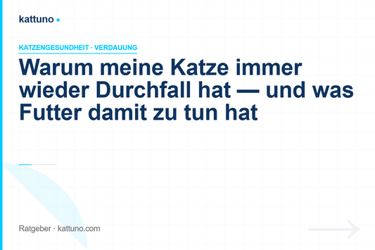 Warum meine Katze immer wieder Durchfall hat — und was Futter damit zu tun hat | luawalt
