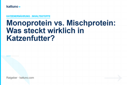 Monoprotein vs. Mischprotein Katzenfutter — was steckt wirklich drin? | luawalt