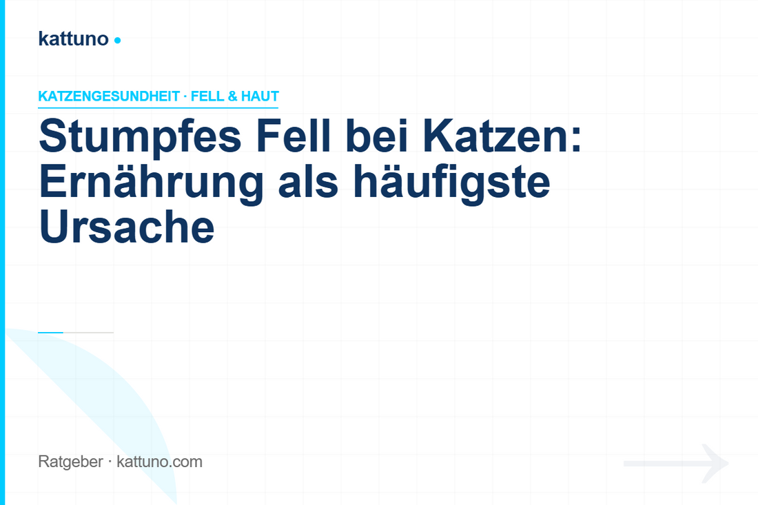 Stumpfes Fell bei Katzen: Warum Ernährung die häufigste Ursache ist | luawalt
