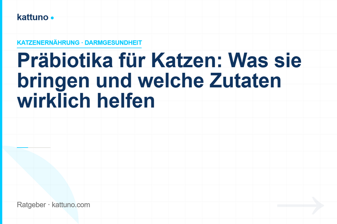 Präbiotika für Katzen: Was sie bringen und welche Zutaten wirklich helfen | luawalt